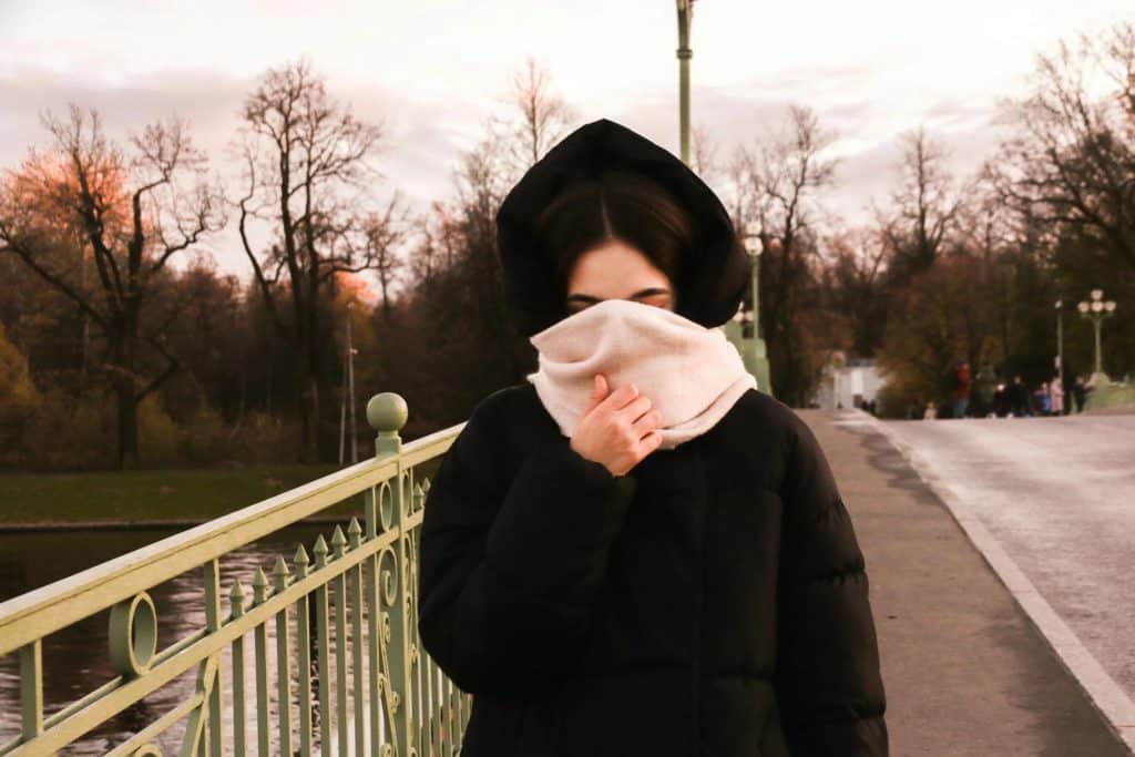 Person in coat on bridge during autumn evening